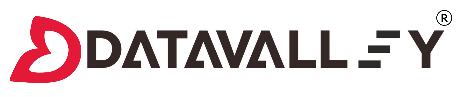 Datavalley Logo